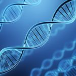 「生命をプログラミングする」時代の到来：合成生物学（バイオものづくり）で挑む次世代ビジネスの勝機