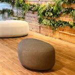 【ビジネス考察】「トランポリンクッション」に学ぶ、次世代の“擬態化”ビジネス戦略