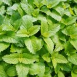 北海道TEAに学ぶ！「捨てられるもの」を「ブランド」に変える新時代のビジネスデザイン