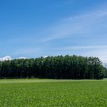 【新市場】「静寂」を売るビジネスが、現代人の財布を開く理由。フィンランドに学ぶサイレント・ツーリズムの勝機